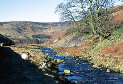 Walking in the Forest of Bowland and Pendle  - Route Photos