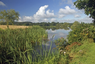 Walking on the West Pennine Moors - Route Photos - Reservoir, White Coppice (Walk 10)
