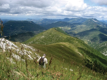 Walking in Provence - West - Route Photos - View near the summit of the Serre de Crema