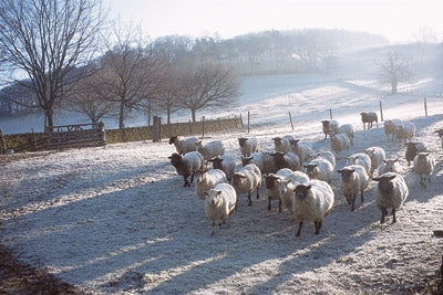 Walking in Derbyshire - Route Photos - A winter’s morning at Hathersage, Walk 49