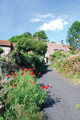 Walking in the Auvergne - Route Photos - St Cirgues de Jordanne in bloom