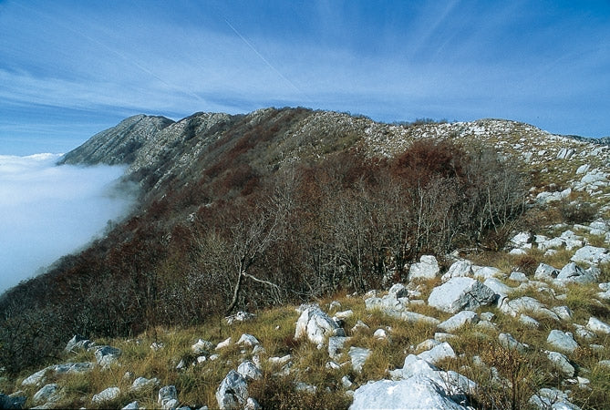 The Mountains of Montenegro - Route Photos - The Dobraštica ridge (Route 1)