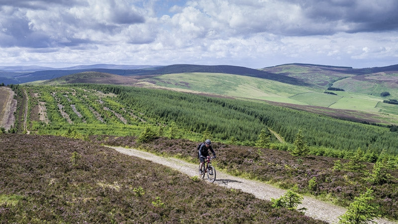 Mountain Biking in Southern and Central Scotland - Route Photos - Forestry plantation on the Three Brethren, Ettrick Forest (Route 9)