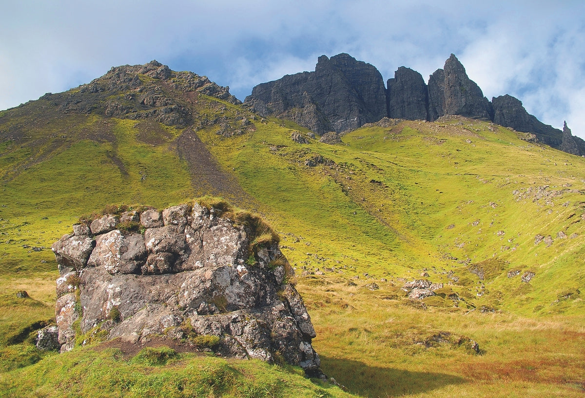 The Isle of Skye - Route Photos - Looking up to the Storr cliffs from the edge of the woodland