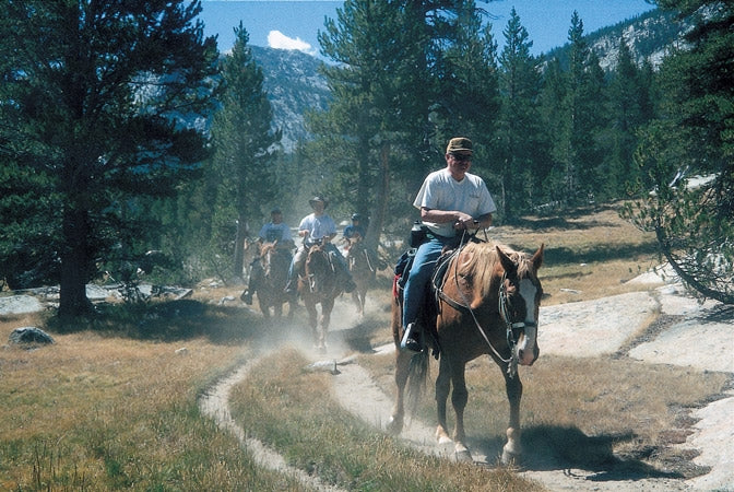 The John Muir Trail - Route Photos - Horses kicking up the  dust on the Trail in Lyell  Canyon (Day 4)
