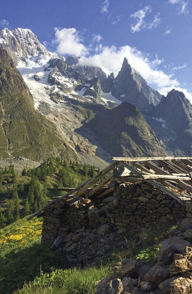 Trail Running - Chamonix and the Mont Blanc region - Route Photos - Aiguille Noire from the TDS race route (Route 40)