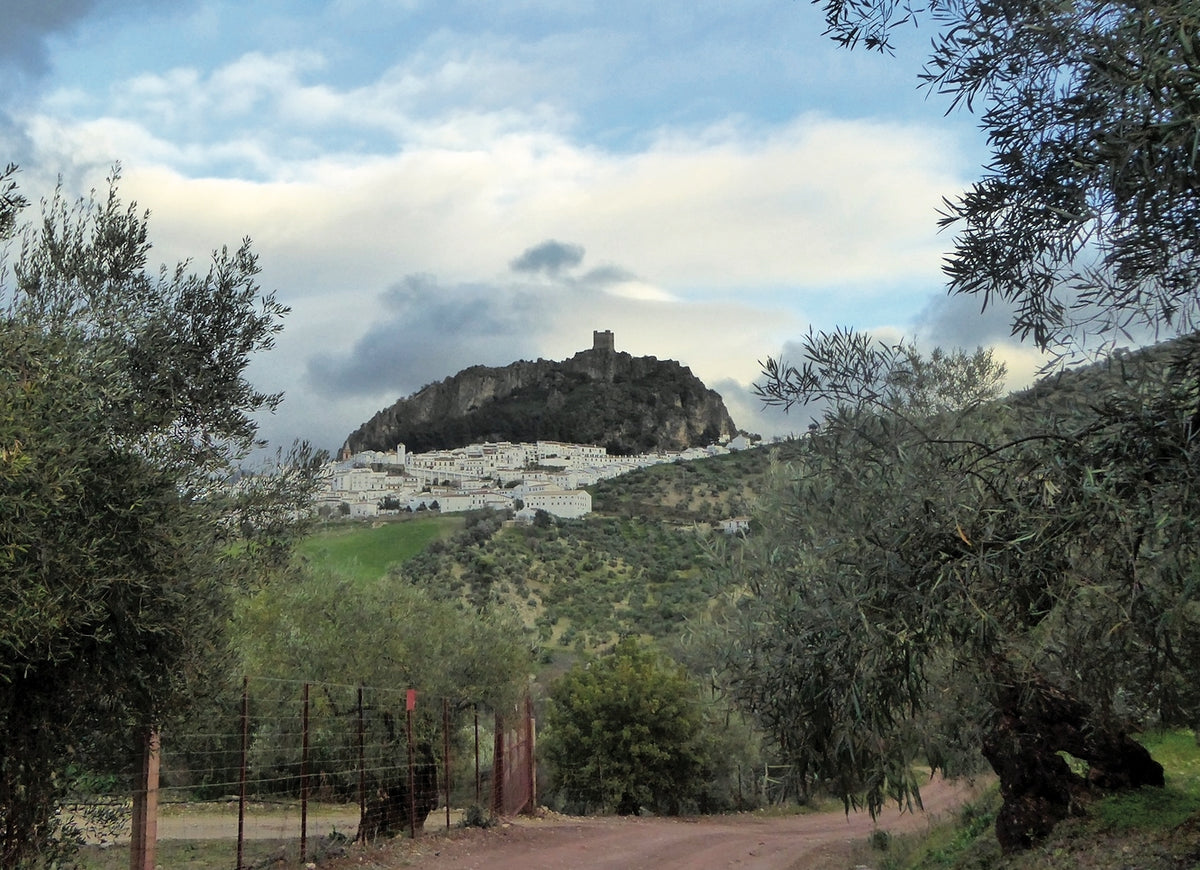 Walking in Andalucia - Route Photos - Zahara de la Sierra, seen from the west