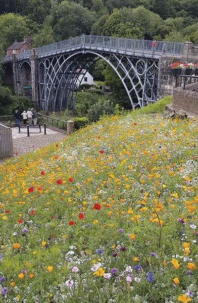 Hillwalking in Shropshire - Route Photos - The Iron Bridge at springtime (Walk 31)