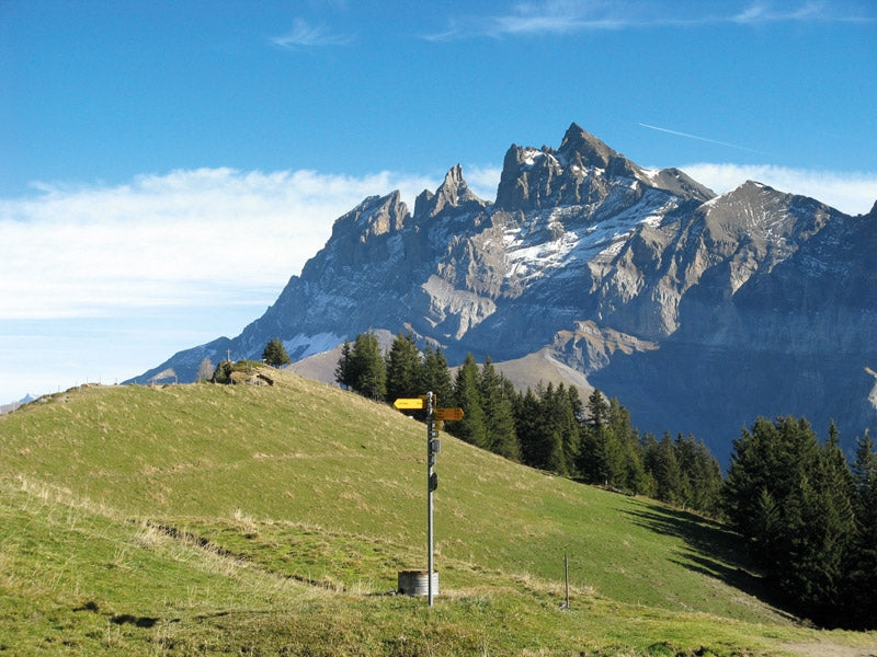 Walking in the Haute Savoie: North - Route Photos - The Dents du Midi from the Col de Cou (Walk 30)