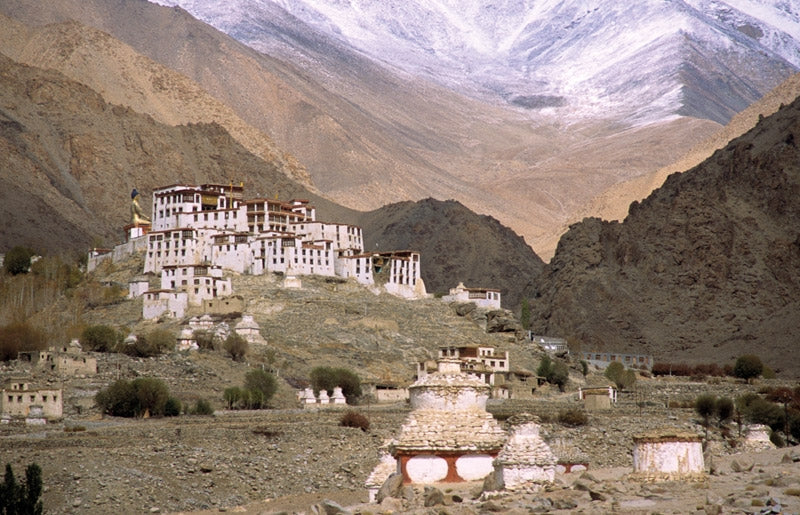 Trekking in Ladakh - Route Photos - Likir Gompa, situated in a tranquil valley off the main road, is famous for its huge statue of the Buddha Maitreya