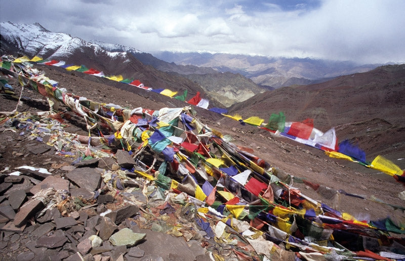 Trekking in Ladakh - Route Photos - Countless peaks of the Zanskar Mountains, the Ladakh Range and the Karakoram, as seen from the Gongmaru La, looking north