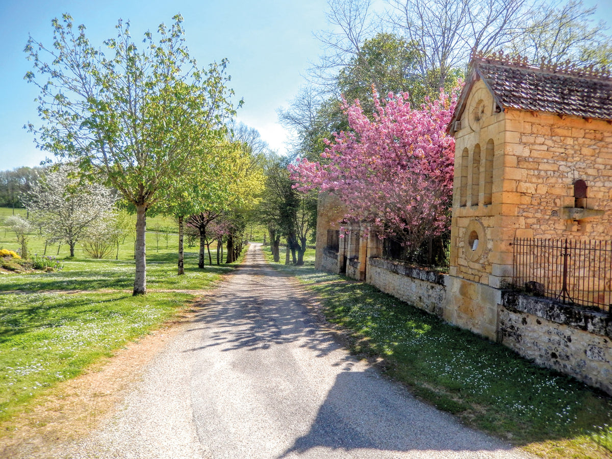 Walking in the Dordogne - Route Photos - Spring blossom near Lalinde (Walk 12): photo Richard Saynor
