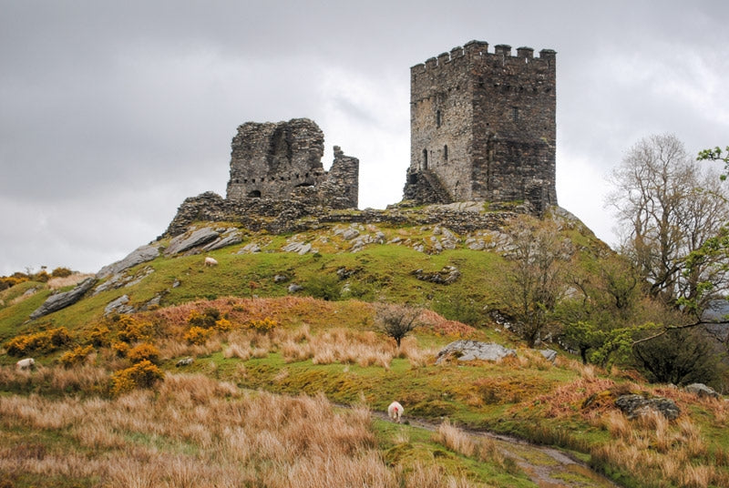 The Snowdonia Way - Route Photos - The atmospheric ruin of Llewellyn the Great’s Dolwyddelan Castle (Stage 4)