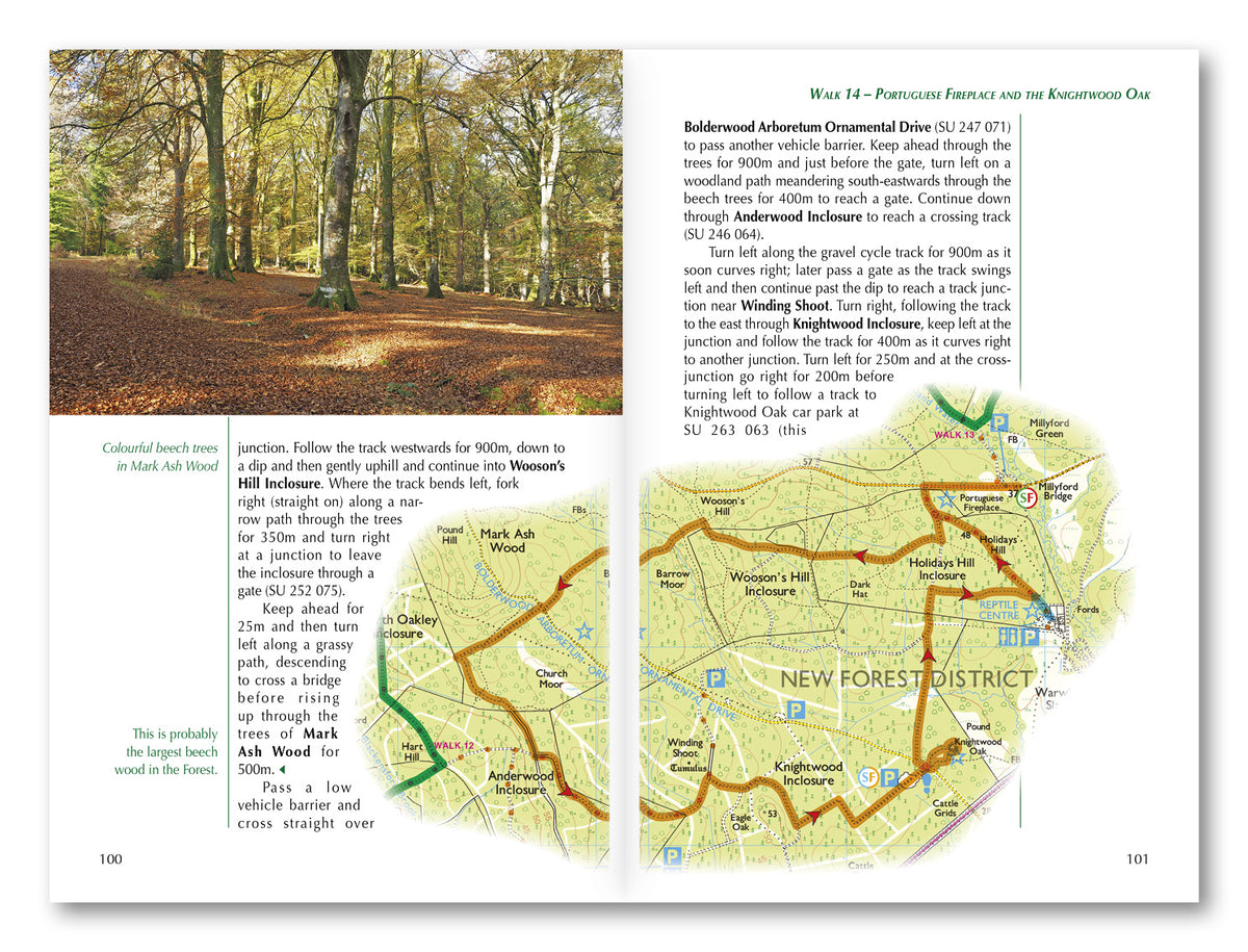 Walking in the New Forest - Route Photos