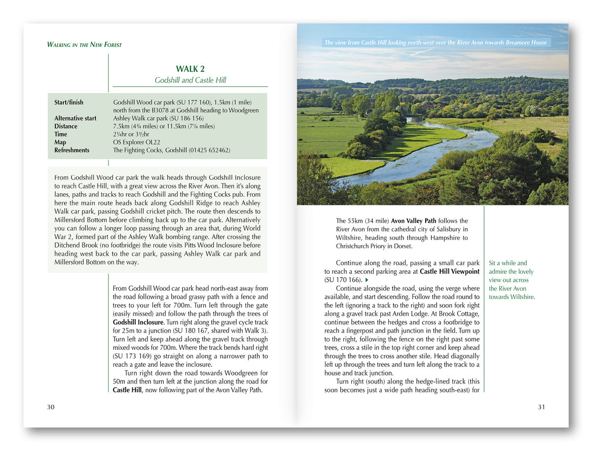 Walking in the New Forest - Route Photos