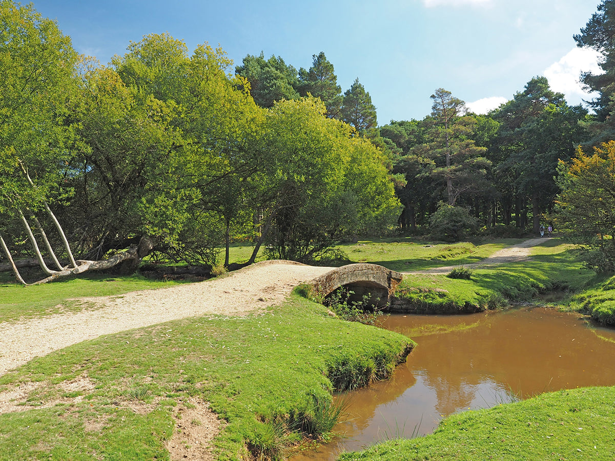 Walking in the New Forest - Route Photos - Splash Bridge over Dockens Water (Walk 9)