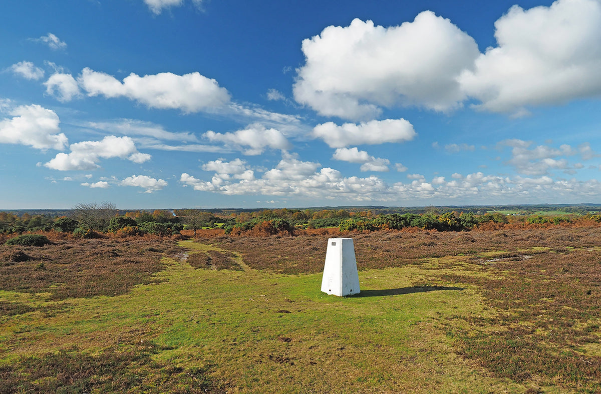 Walking in the New Forest - Route Photos - The trig point near Whitefield Plantation on Ibsley Common (Walk 10)