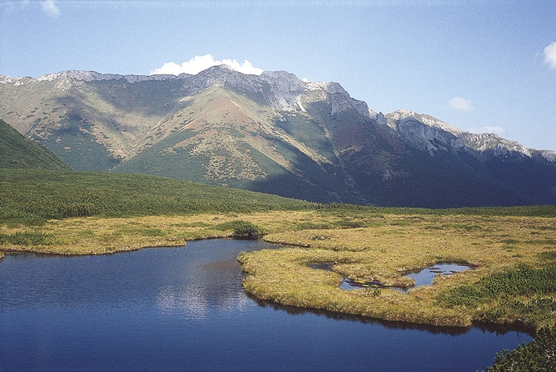 The High Tatras - Route Photos - The White Tatras from Velké Biele Pleso (Blue 2911A, Slovakia) (photo: R Turnbull)