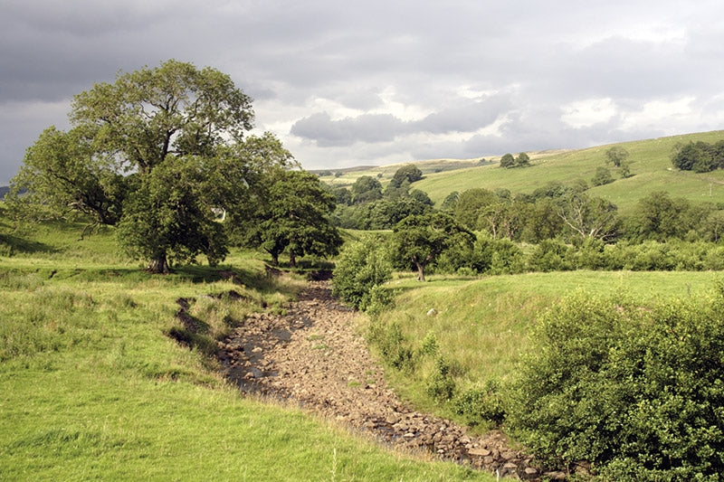 Walking in the North Pennines - Route Photos - Gentle riverside walking can be enjoyed on the way back to Ninebanks (Walk 43)