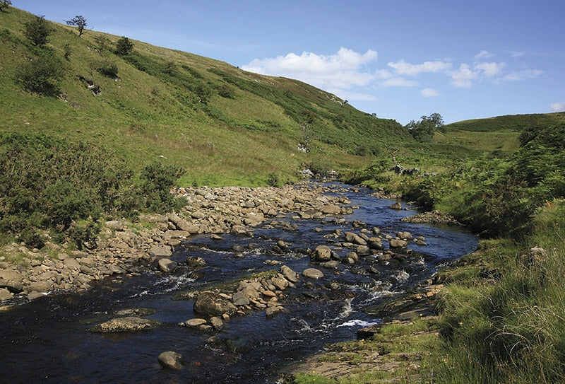 The Lune Valley and Howgills - Route Photos - Beyond Springs Wood, the path briefly closes with Leck Beck (Walk 25)