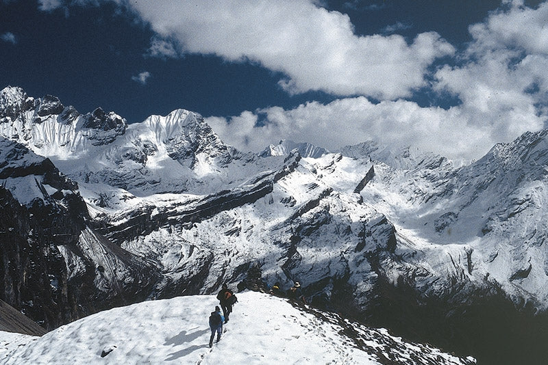 Trekking in Bhutan - Route Photos - After crossing Bonte La (Trek 4, Day 5)
