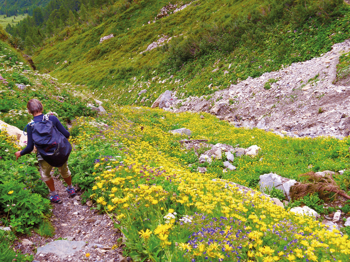 The Karnischer Hohenweg - Route Photos - Approaching the Hochweißsteinhaus (Stage 3)