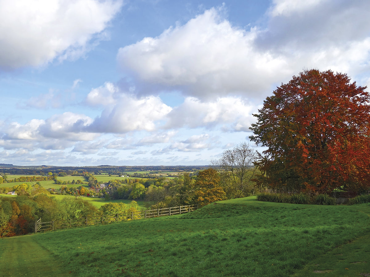 Walking Hampshire's Test Way - Route Photos - Above Stoke in autumn (Stage 2)