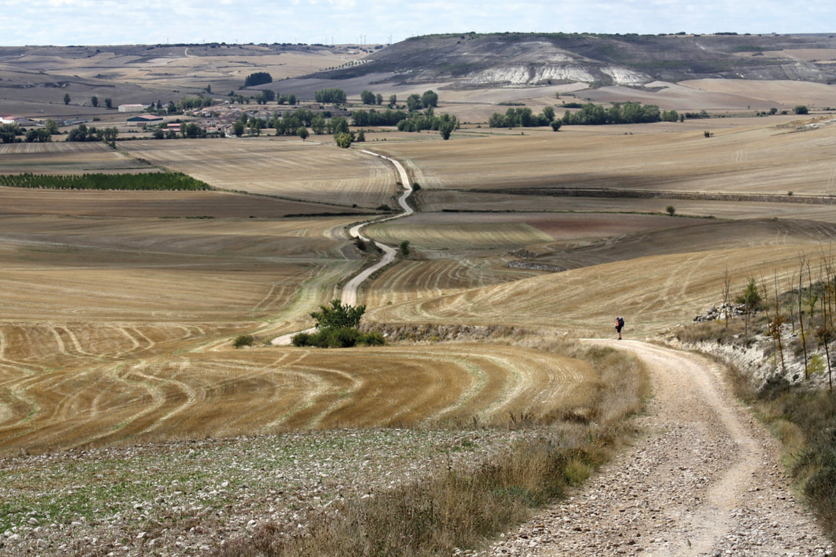 Cycling the Camino de Santiago - Route Photos - The Camino crosses the meseta, an area of high-level downland with little shade (Stages 8–12)