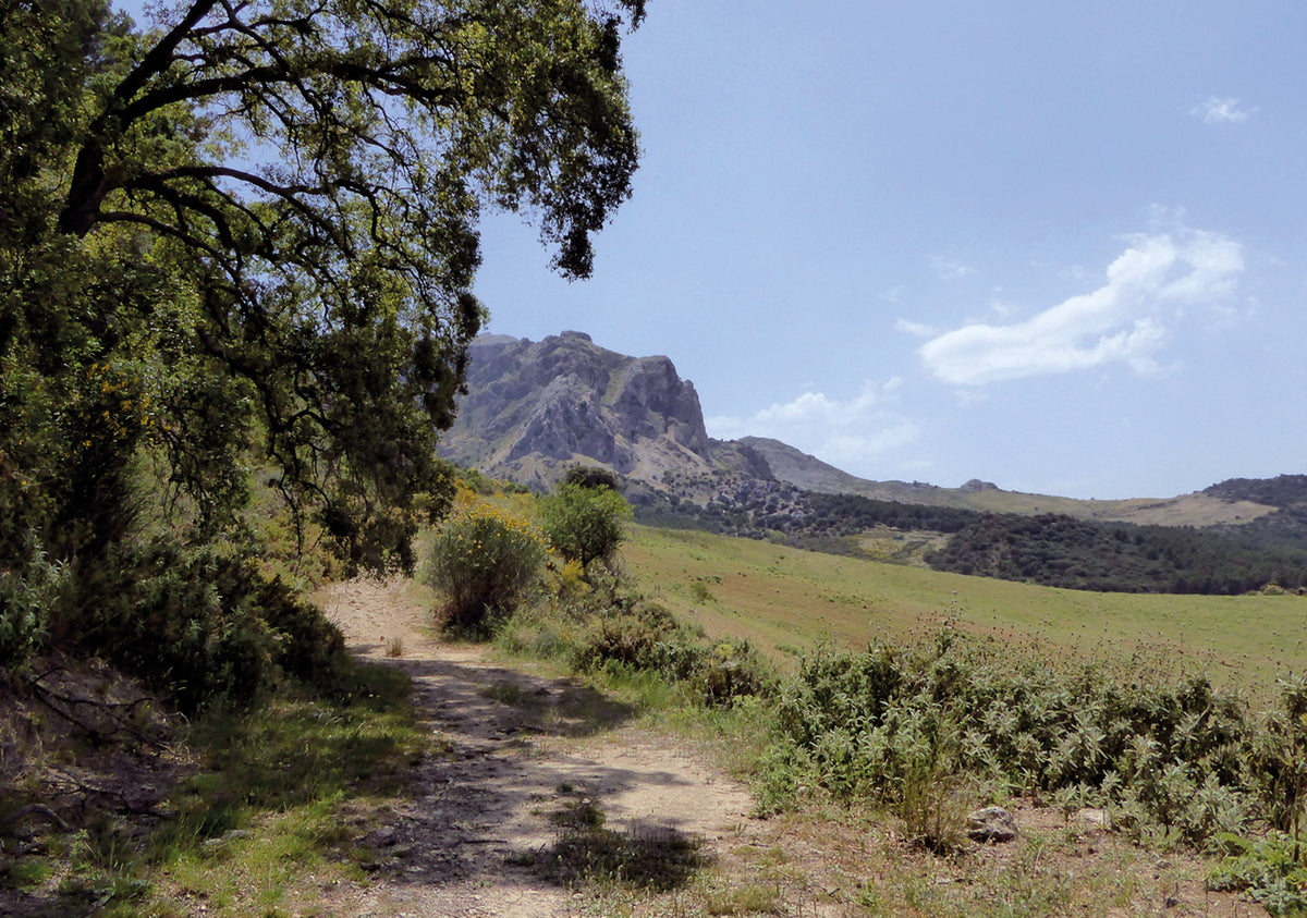 The Andalucian Coast to Coast Walk - Route Photos - Following the northern slopes of the Sierra de Prieta towards El Burgo (Day 11)