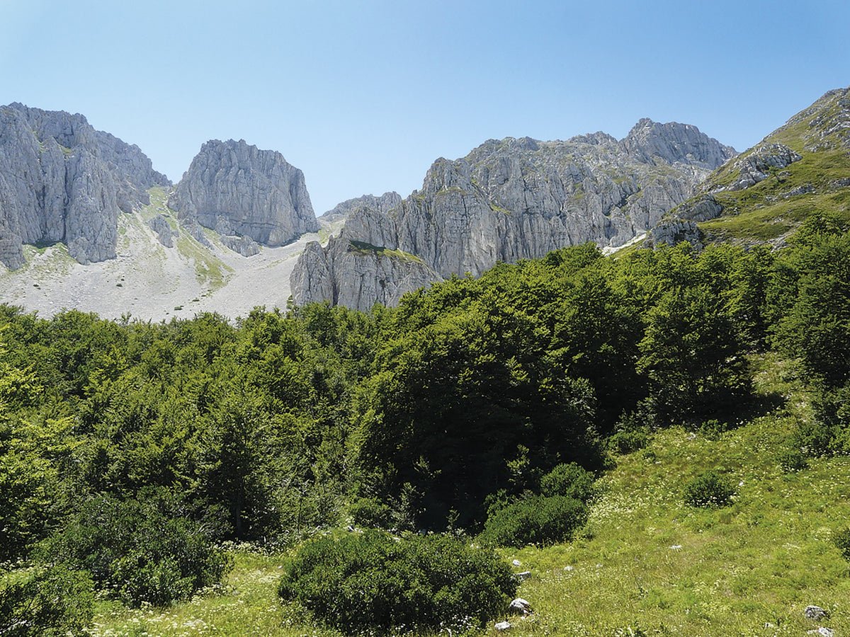 Walking in Abruzzo - Route Photos - Leaving the forest on Monte Sirente (Walk 34)