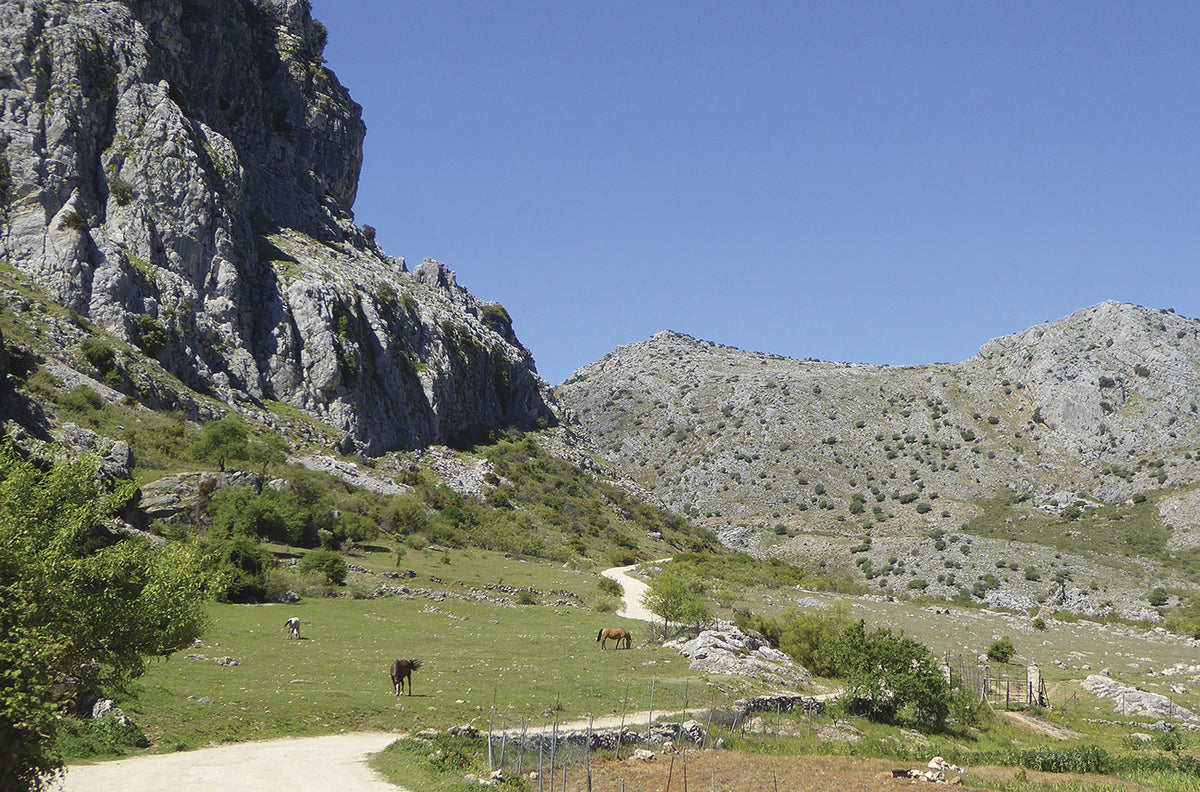 Trekking the GR7 in Andalucia - Route Photos - The Líbar Valley close to Montejaque