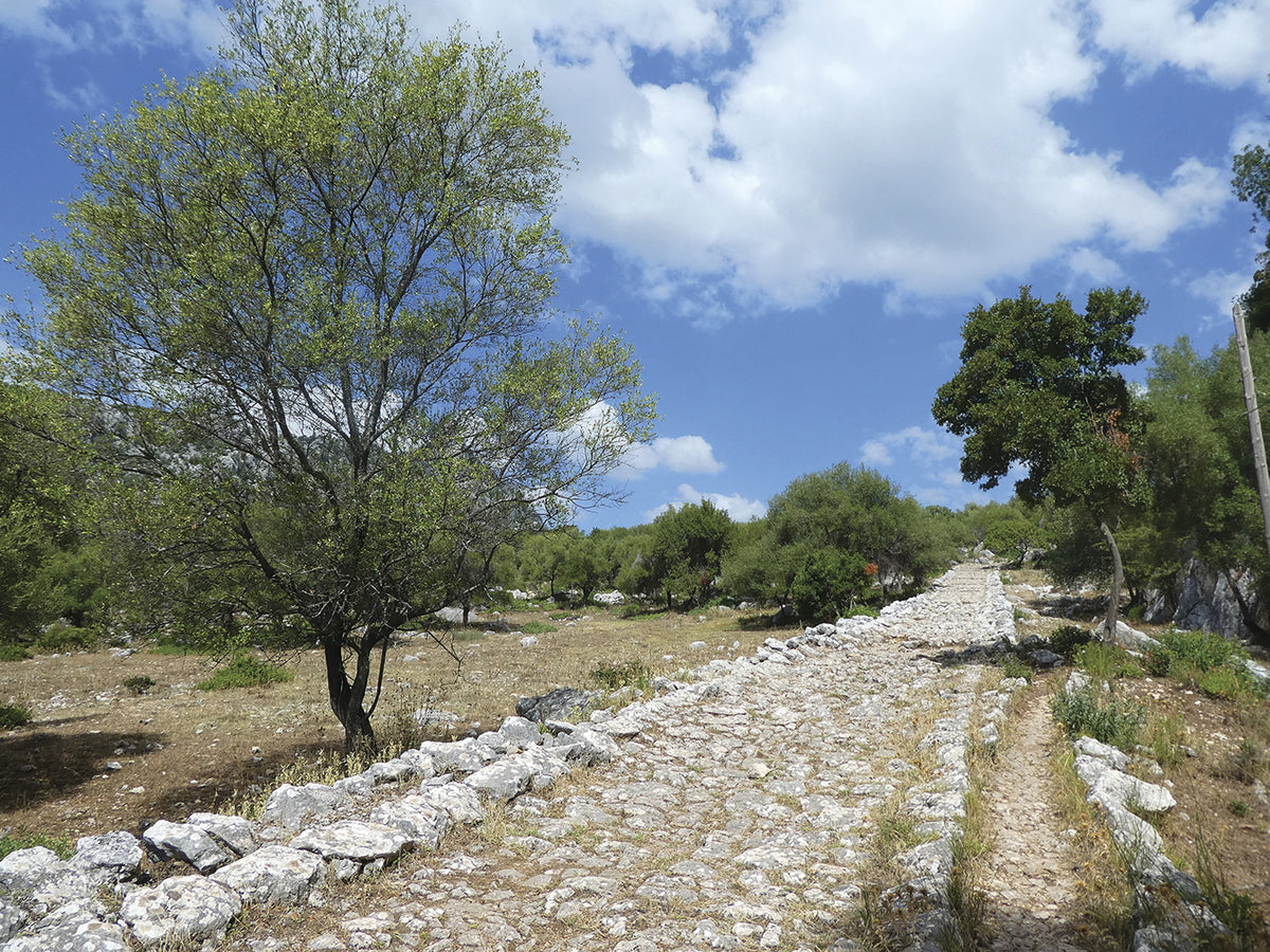 Trekking the GR7 in Andalucia - Route Photos - The Roman Road leading out from Ubrique