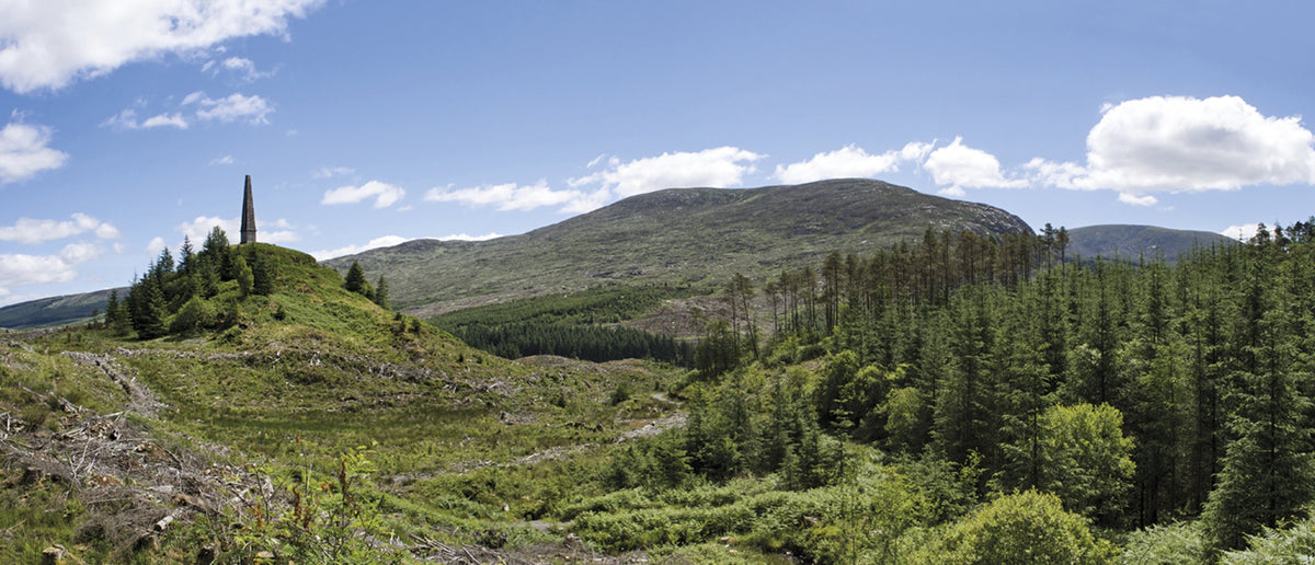 Walking the Galloway Hills - Route Photos - Murray’s Monument and Cairnsmore of Fleet