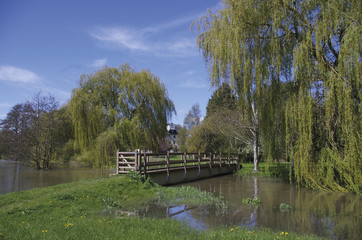 Walking in Essex - Route Photos - The Colne in flood at Chappel (Walk 24)