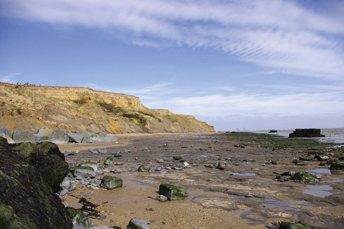 Walking in Essex - Route Photos - The cliffs below the Naze