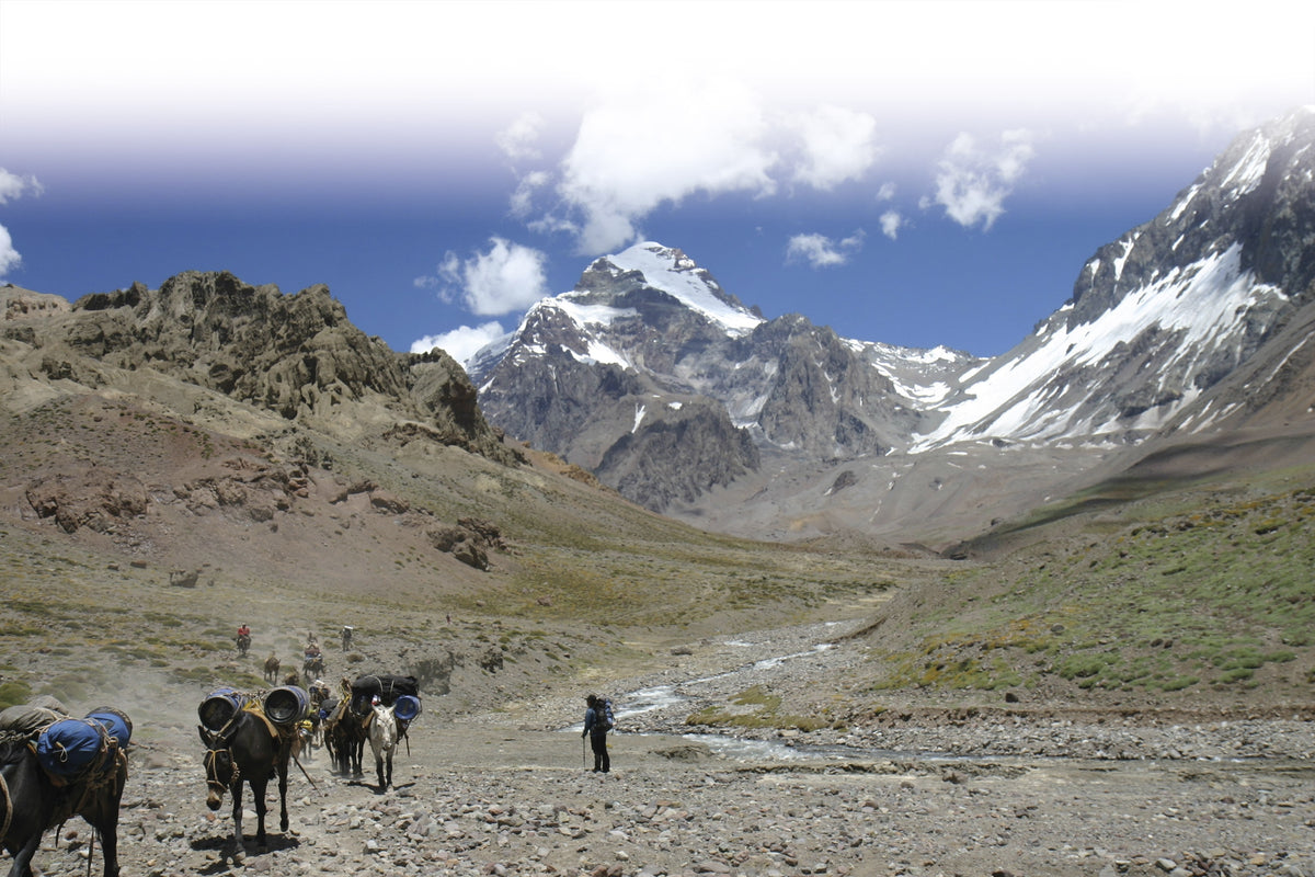 Fifty Years of Adventure - Route Photos - The Vacas Valley approach to Aconcagua, Argentina (Jim Ryan)