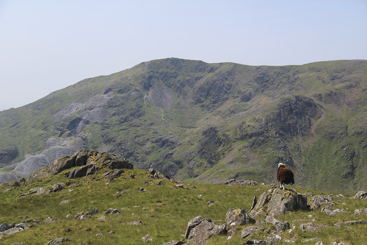 Walking the Lake District Fells - Coniston - Route Photos - Coniston Old Man from Wetherlam