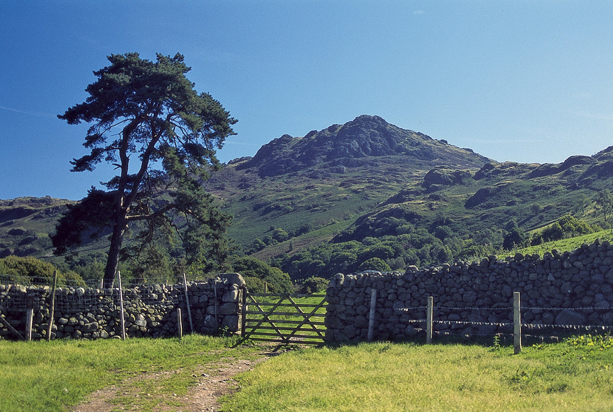 Walking the Lake District Fells - Coniston - Route Photos - Harter Fell from Penny Hill