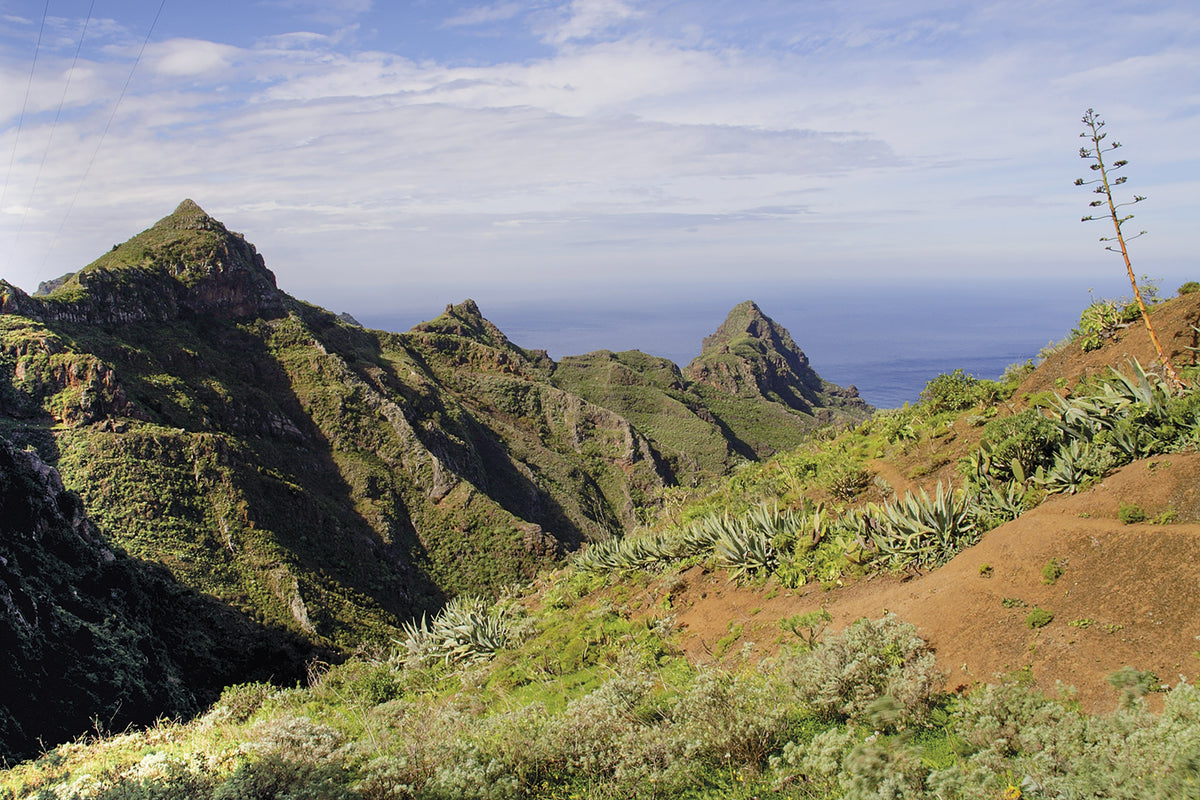 Walking on Tenerife - Route Photos - The upper part of the Barranco Seco, on the way to Bejia and El Peladero