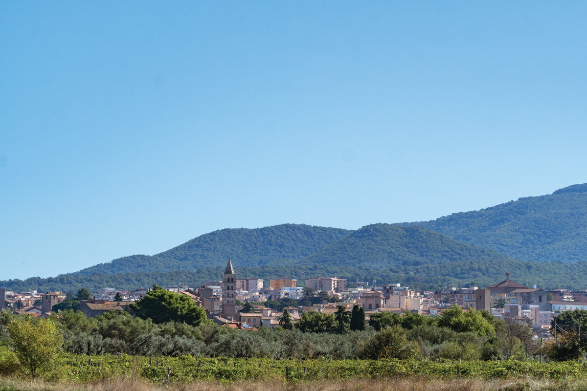 Walking the Via Francigena Pilgrim Route - Part 3 - Route Photos - The Cimini Mountains tower above Viterbo’s skyline