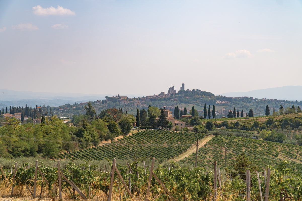 Walking the Via Francigena Pilgrim Route - Part 3 - Route Photos - The tall towers of San Gimignano’s skyline are visible from a great distance