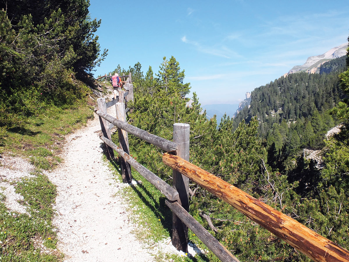 Alta Via 1 - Trekking in the Dolomites - Route Photos - The woodland path after Rifugio Fodara Vedla (Stage 2)