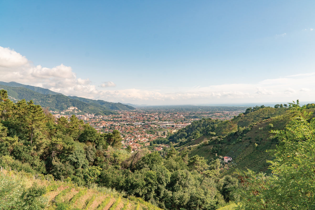 Walking the Via Francigena Pilgrim Route - Part 2 - Route Photos - Views toward Massa from the Via della Lucertola
