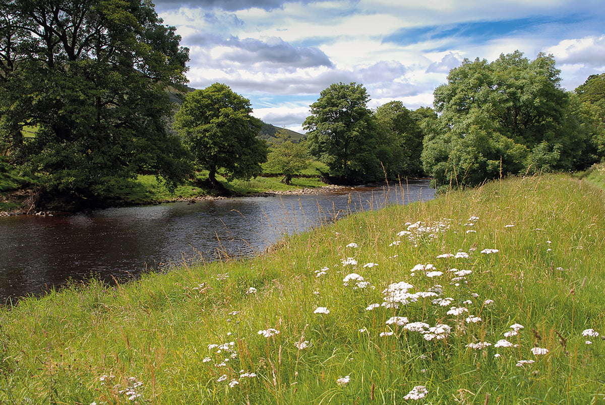 Walking the Dales Way - Route Photos - Beside the Wharfe between Burnsall and Grassington