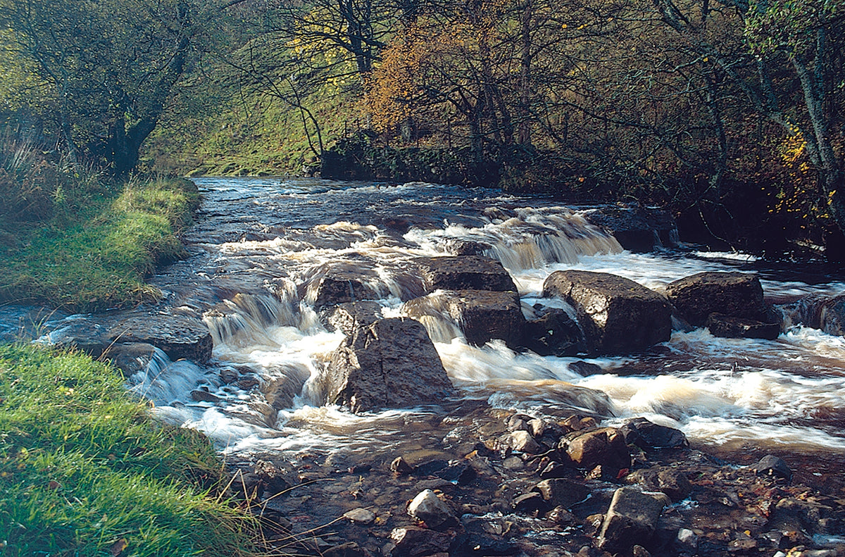 Walking the Dales Way - Route Photos - Fell Head Gill, Dent Head
