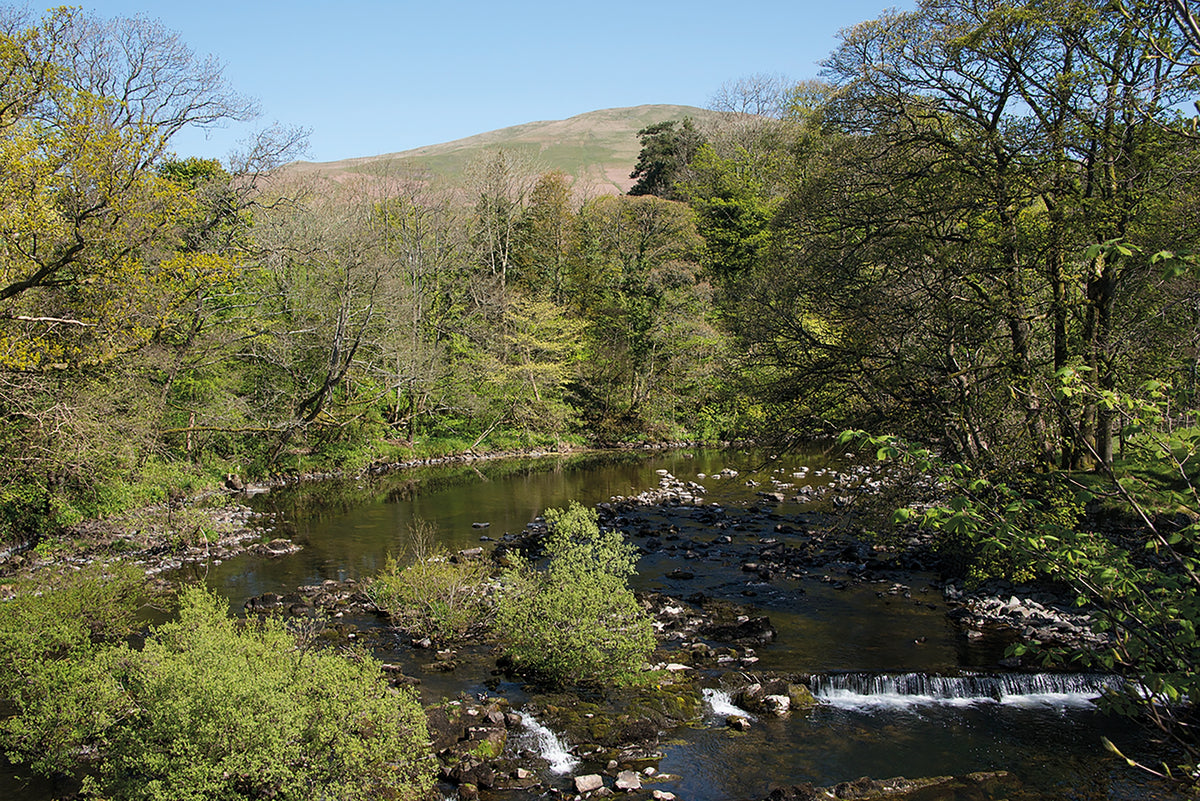 Walking the Dales Way - Route Photos - The River Rawthey at Birks Mill