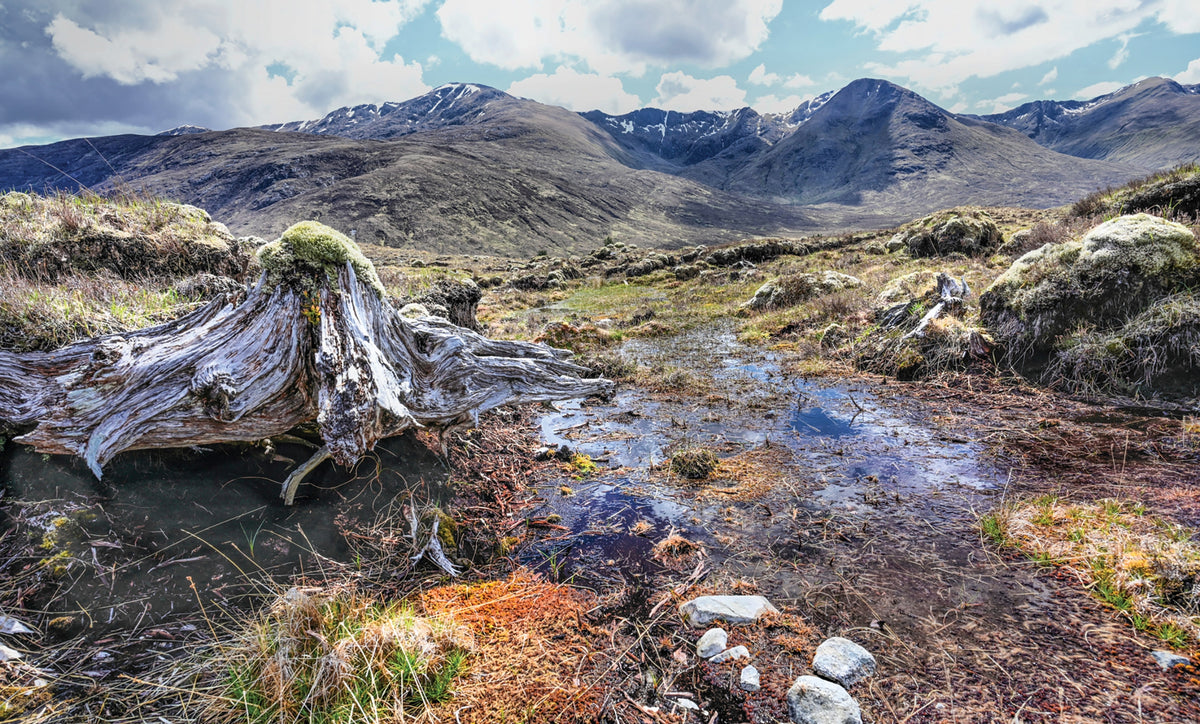 Walking the Munros Vol 2 - Northern Highlands and the Cairngorms - Route Photos - The eastern end of the South Shiel ridge from Route 31