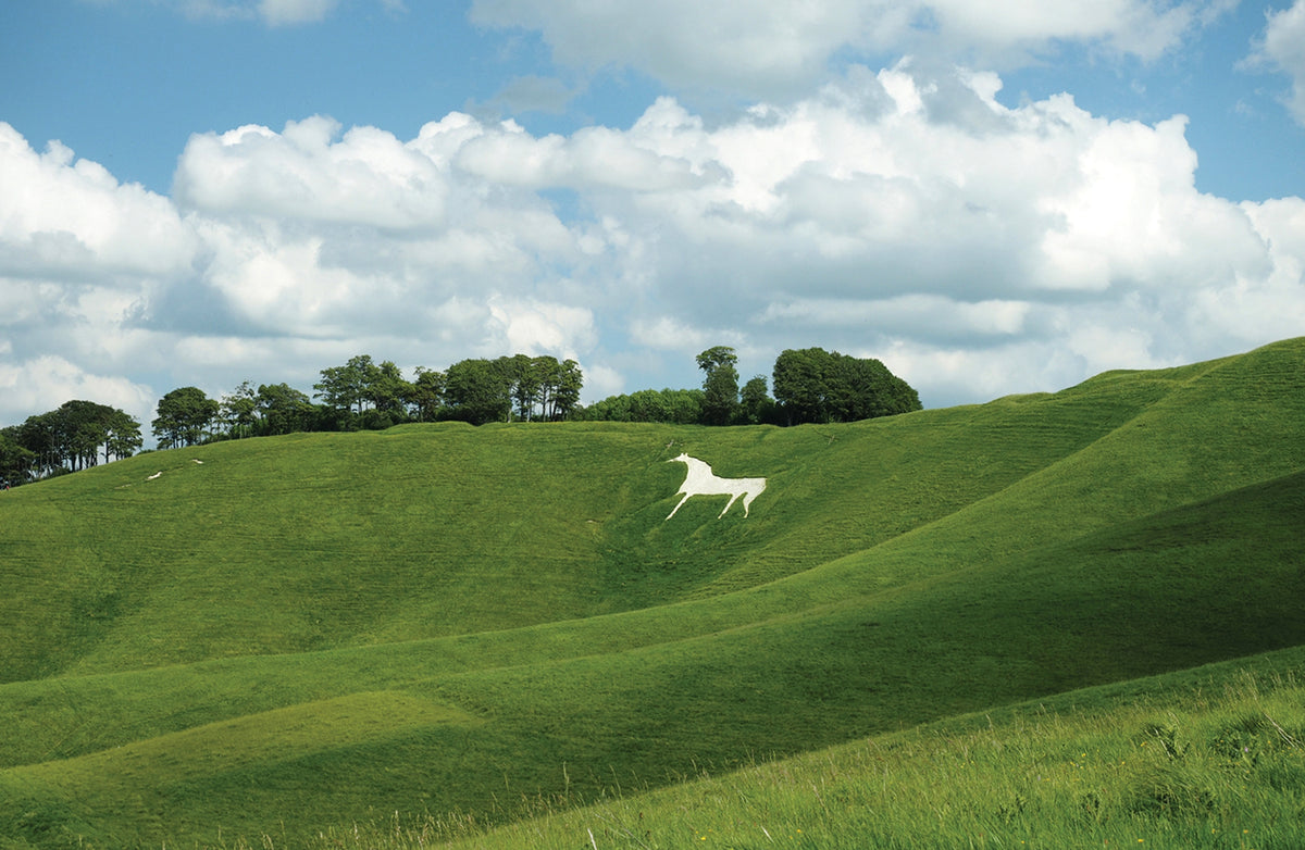 Walking in the North Wessex Downs - Route Photos - The Cherhill White Horse viewed from the path
