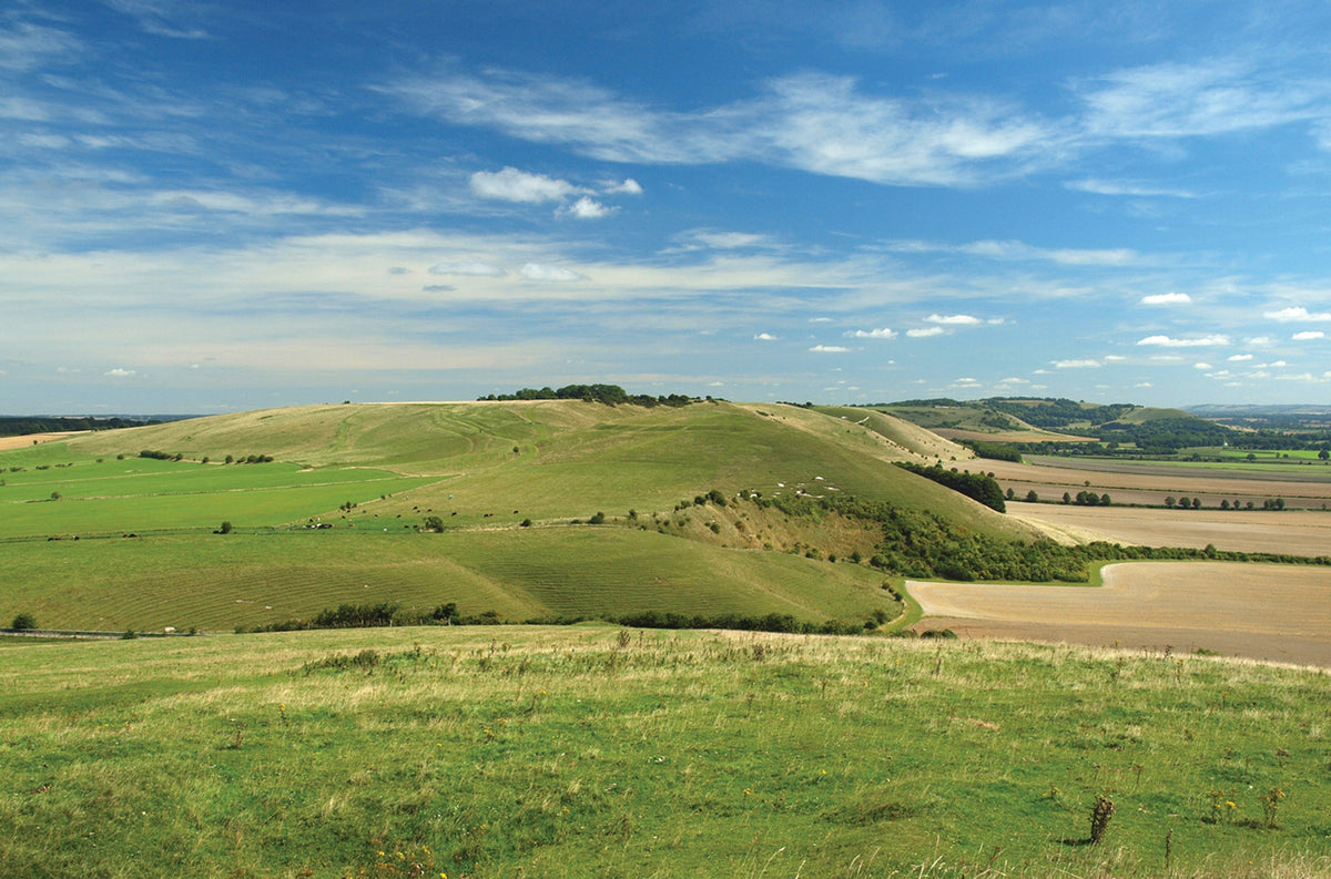 Walking in the North Wessex Downs - Route Photos - The view east to Knap Hill (Walk 22) from Adam’s Grave