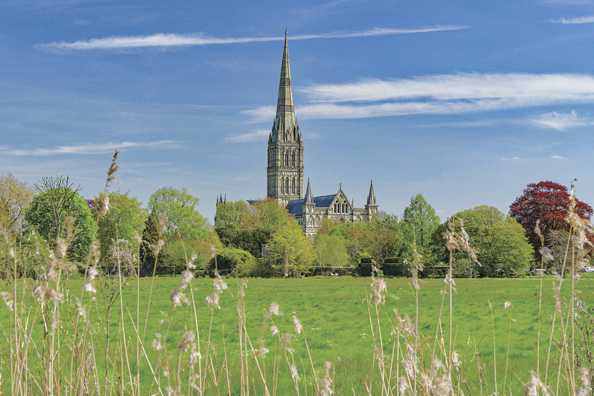 Walking the Sarsen Way - Route Photos - Salisbury Cathedral viewed from Harnham Water Meadows